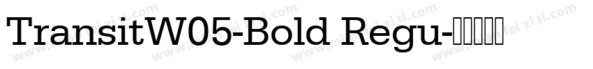 TransitW05-Bold Regu字体转换